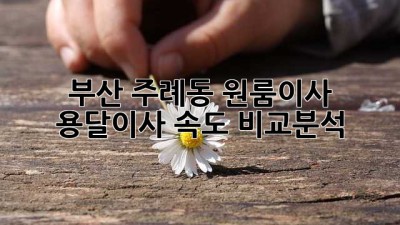 부산 주례동 원룸이사? 용달이사 속도 비교분석!
